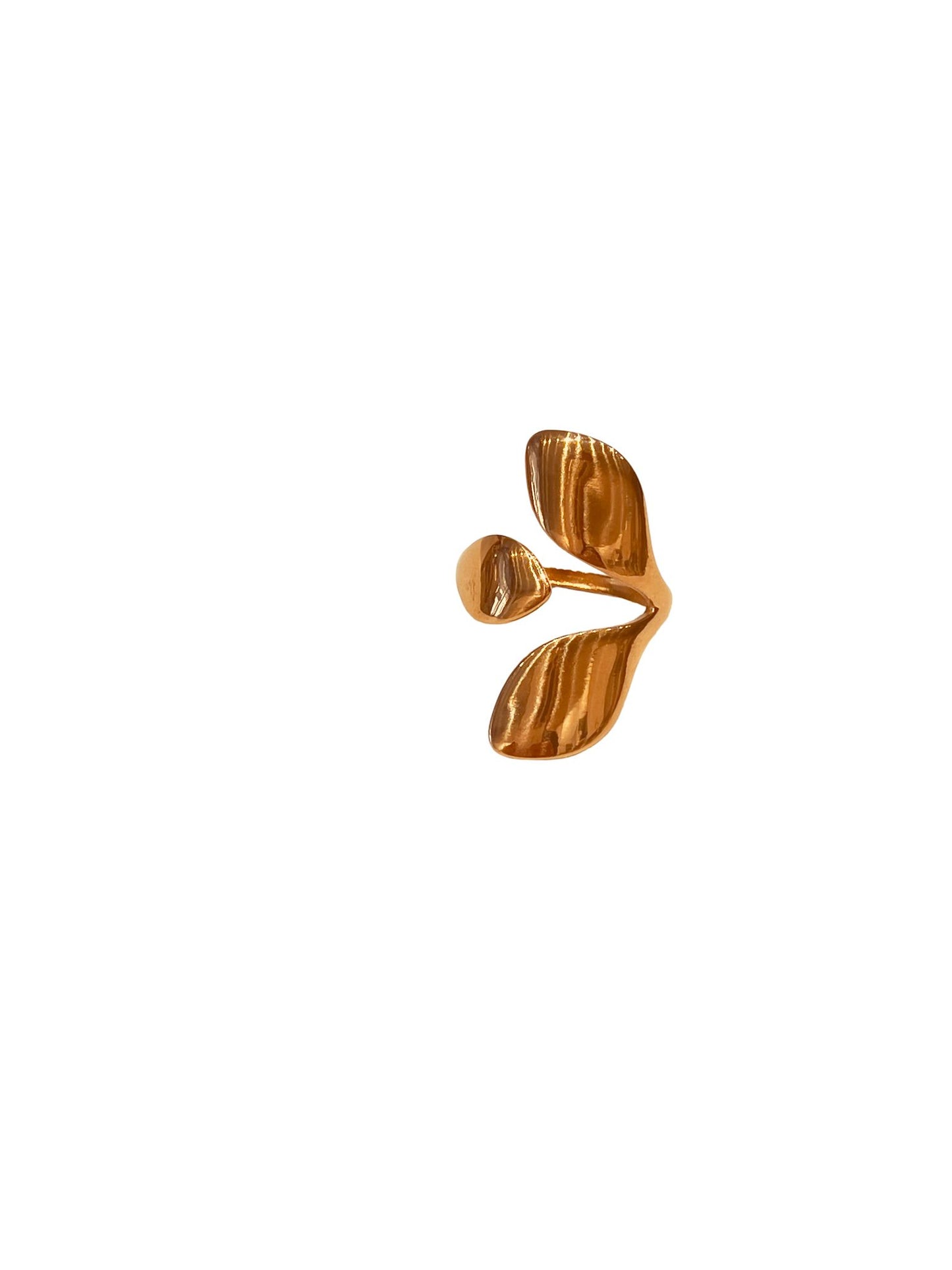 Anelli